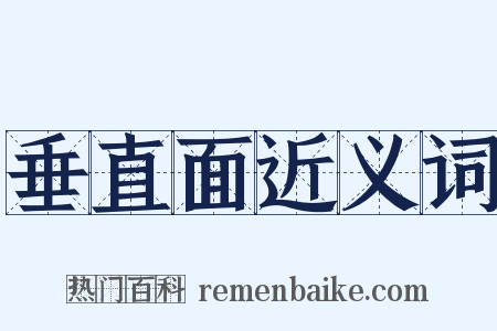 垂直面近义词是什么意思的图片